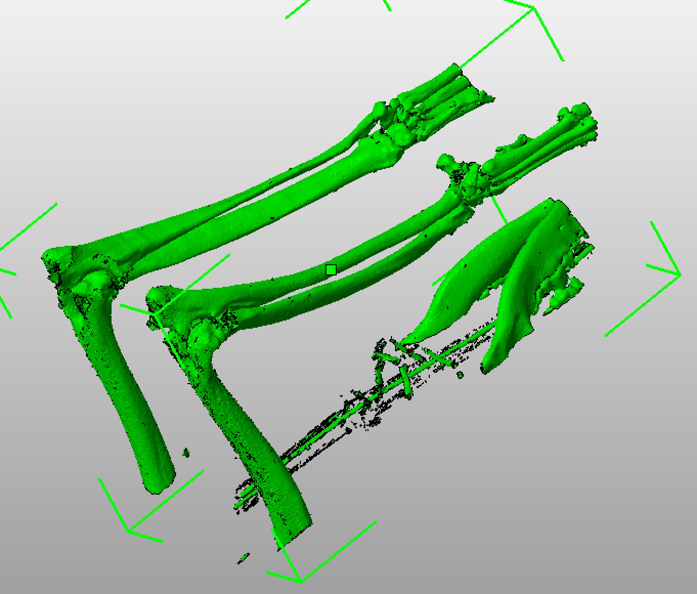 Raw 3D CAD model from CT scan data for veterinary bone modeling