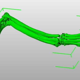 Refined 3D CAD model prepared for 3D printing veterinary bone model