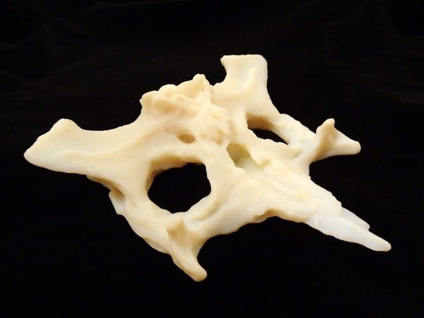 3D printing technology demonstration